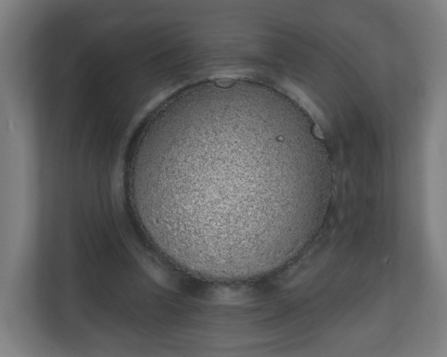 X0000111130346200907071022