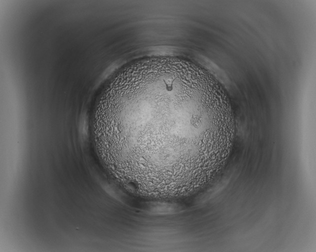 X0000111130347200907071022