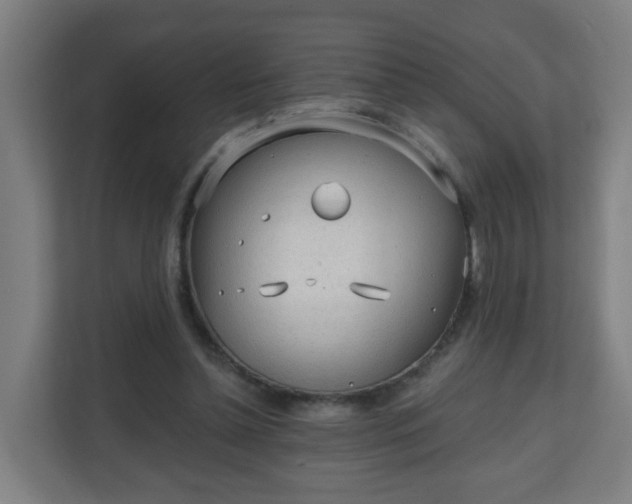 X0000111130348200907071022