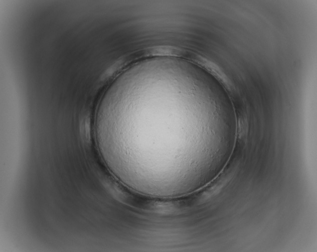 X0000111130349200907071022