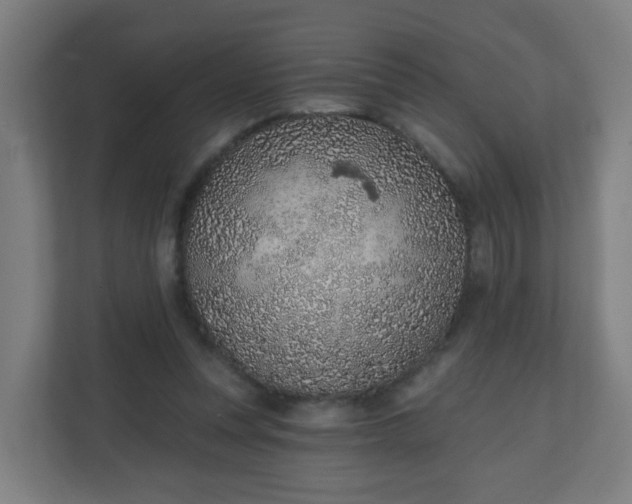 X0000111130351200907071022