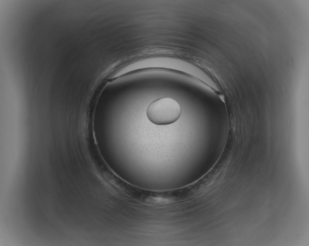X0000111130352200907071022