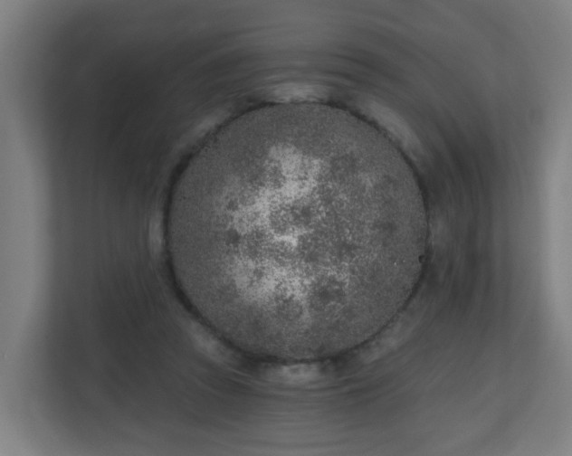 X0000111130353200907071022