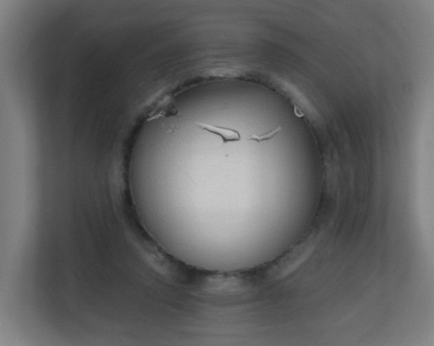 X0000111130354200907071022