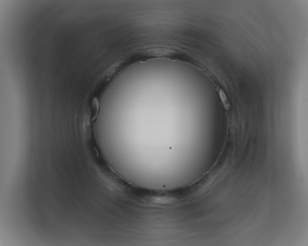 X0000111130360200907071022