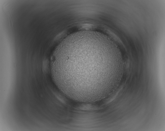 X0000111130361200907071022