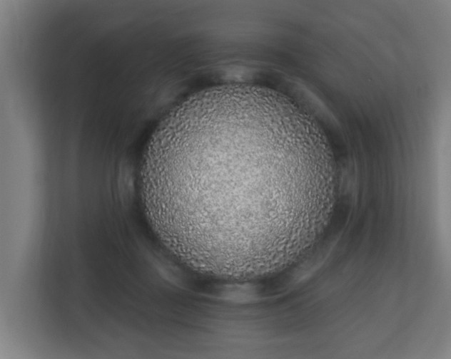 X0000111130363200907071022