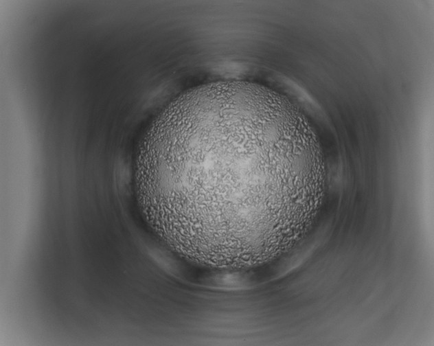 X0000111130365200907071022