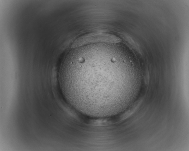 X0000111130366200907071022