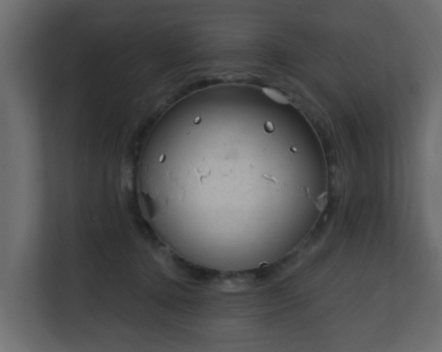 X0000111130368200907071022