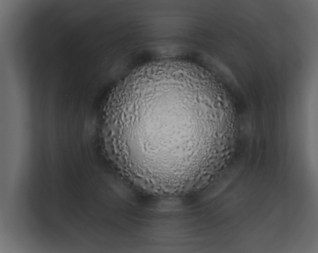 X0000111130369200907071022
