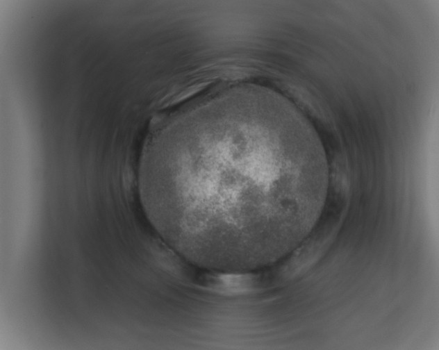 X0000111130371200907071022