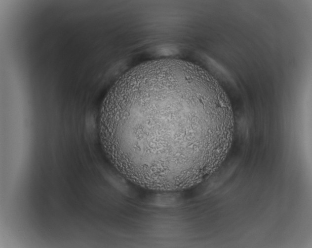 X0000111130373200907071022