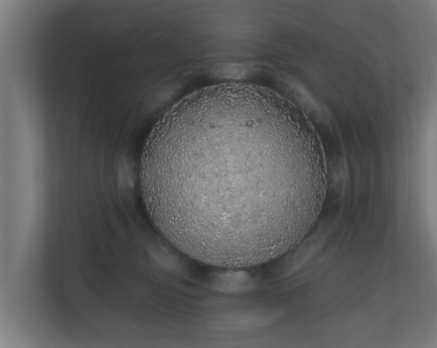 X0000111130374200907071022