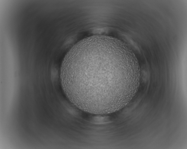 X0000111130375200907071022