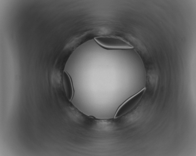 X0000111130380200907071022