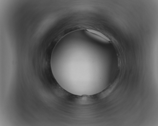 X0000111130382200907071022