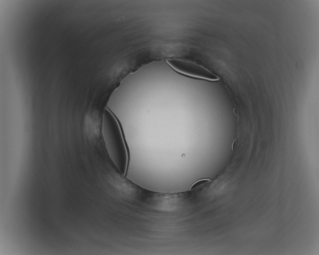 X0000111130384200907071022
