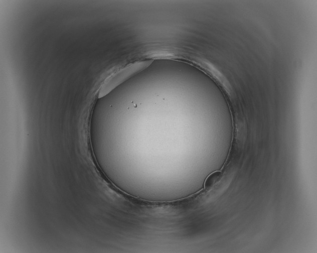 X0000111130385200907071022