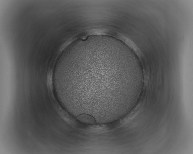 X0000111130386200907071022