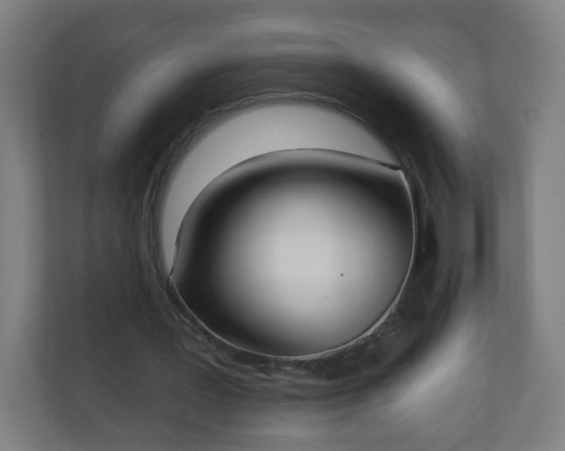 X0000111130387200907071022