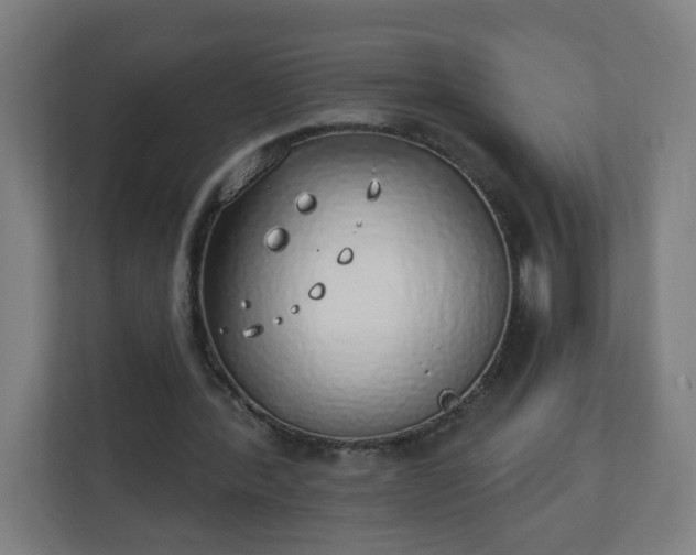 X0000111130388200907071022