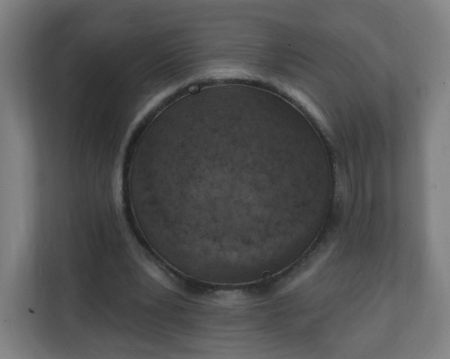 X0000111130391200907071022