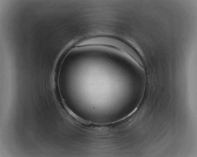 X0000111130395200907071022