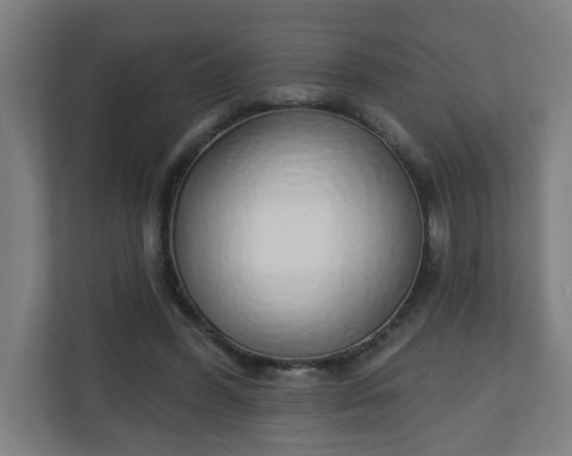 X0000111130396200907071022