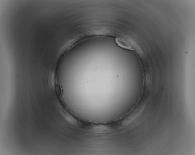 X0000111130397200907071022