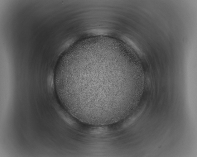 X0000111130398200907071022
