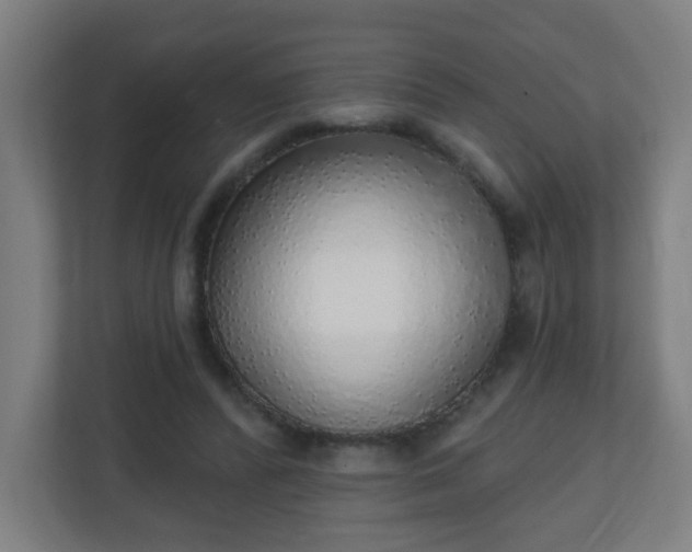 X0000111130400200907071022