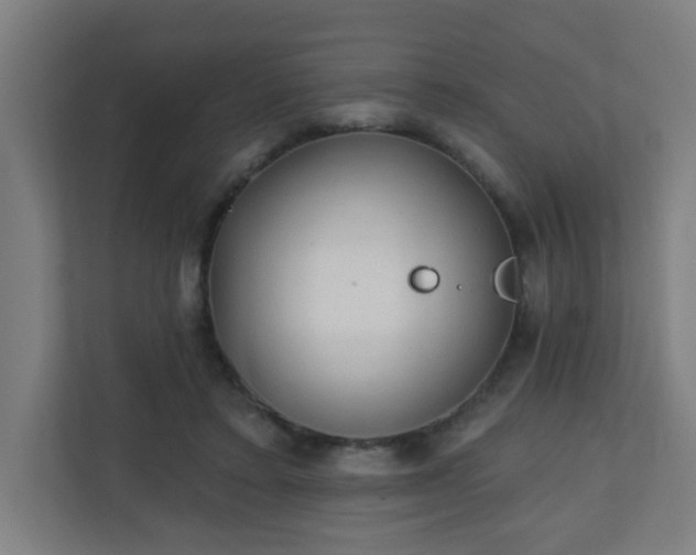 X0000111130403200907071022
