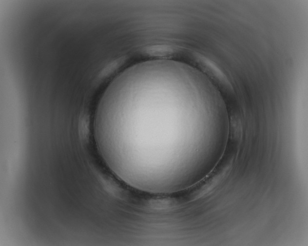X0000111130404200907071022