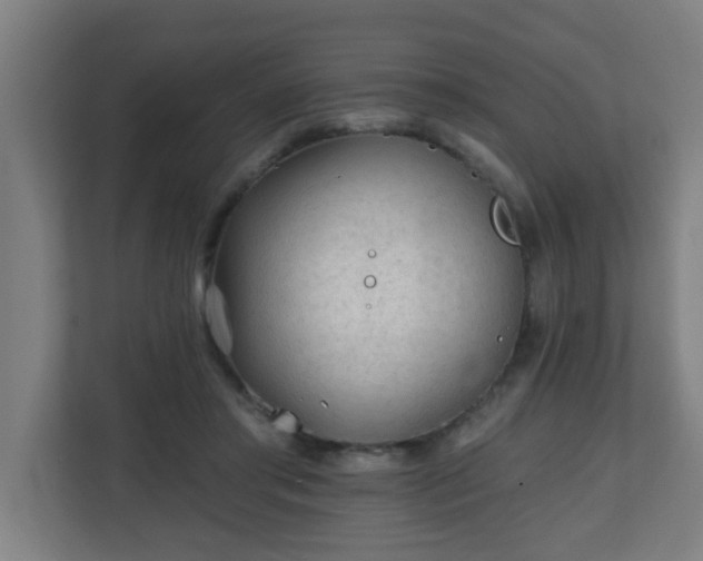 X0000111130405200907071022