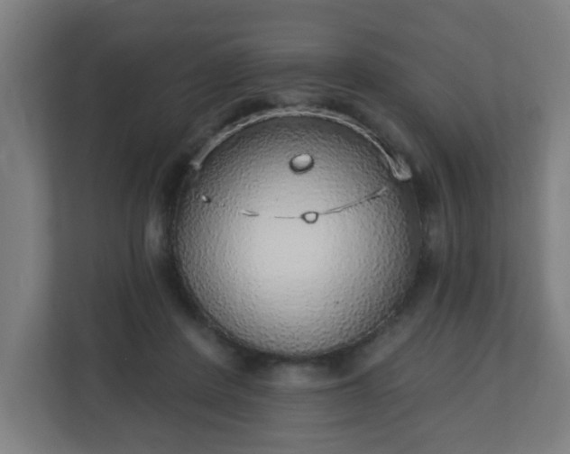 X0000111130408200907071022