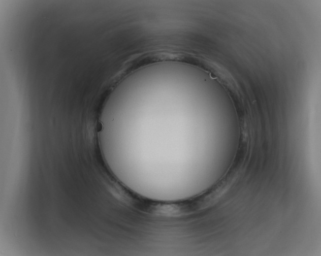 X0000111130409200907071022