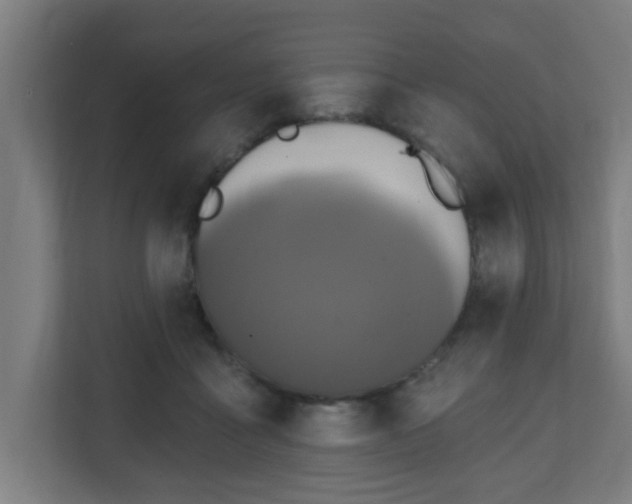X0000111130411200907071021