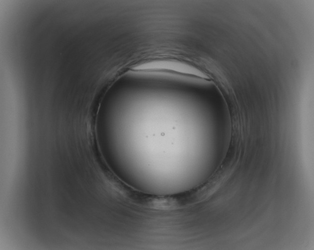 X0000111130415200907071021