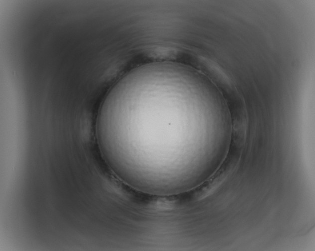 X0000111130416200907071021