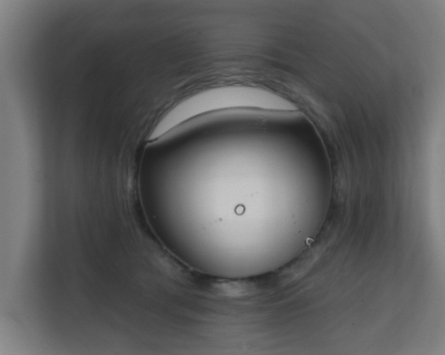 X0000111130417200907071021