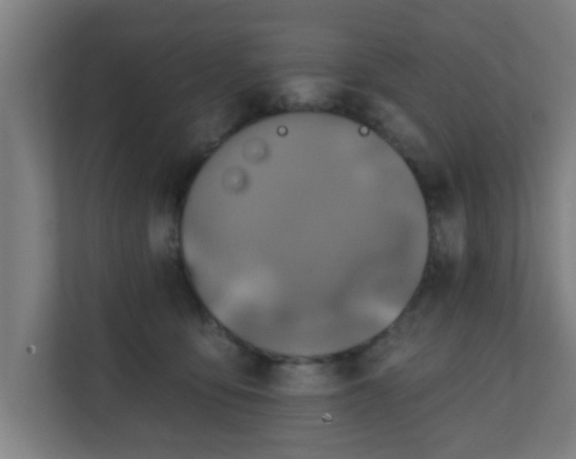 X0000111130419200907071021