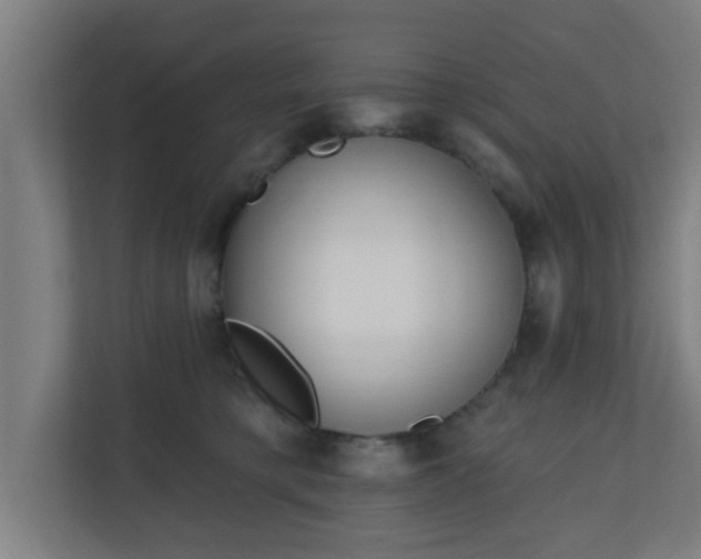 X0000111130421200907071021