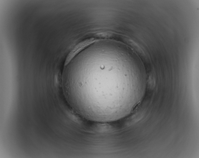 X0000111130424200907071021