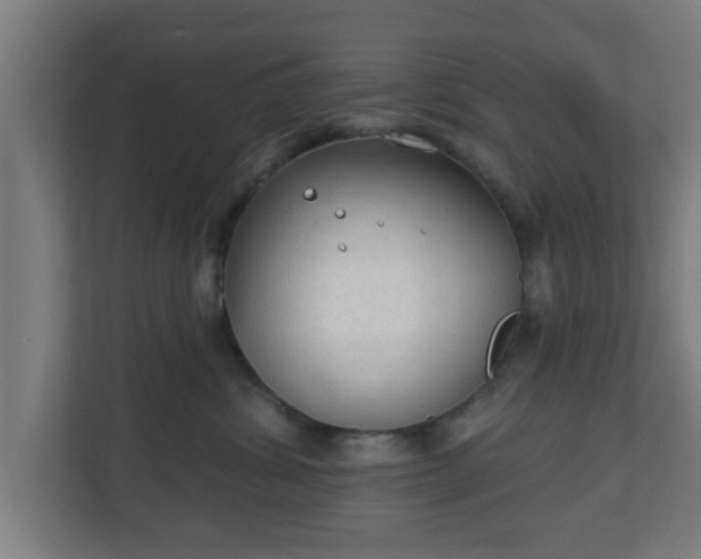 X0000111130428200907071021