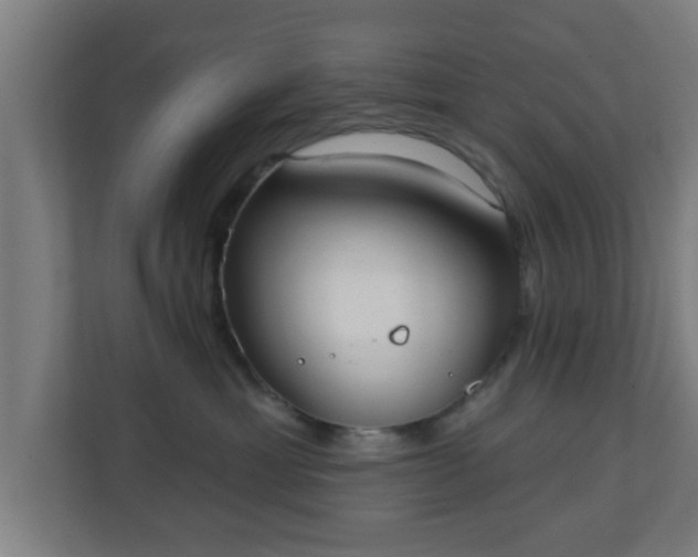X0000111130429200907071021