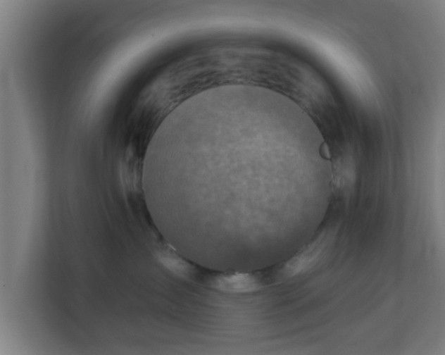 X0000111130431200907071021