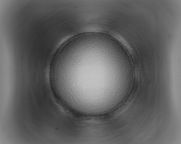 X0000111130434200907071021