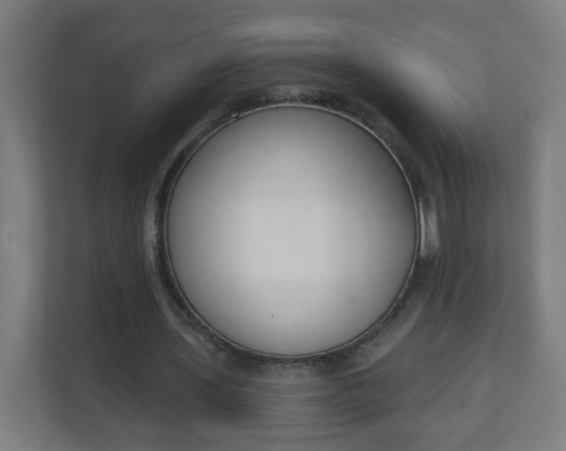 X0000111130435200907071021