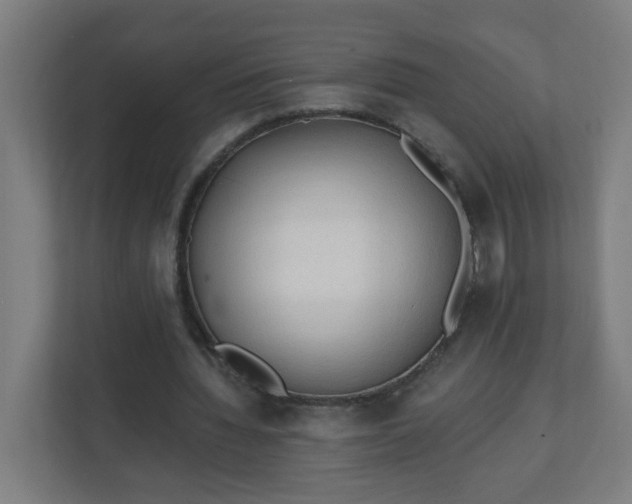 X0000111130436200907071021
